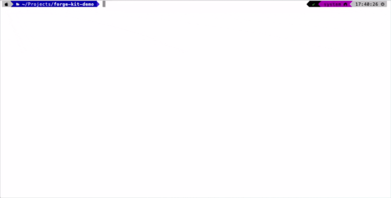 forge init and forge install onboarding wizard